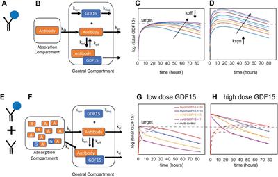 Navigating Between Right, Wrong, and Relevant: The Use of Mathematical Modeling in Preclinical Decision Making